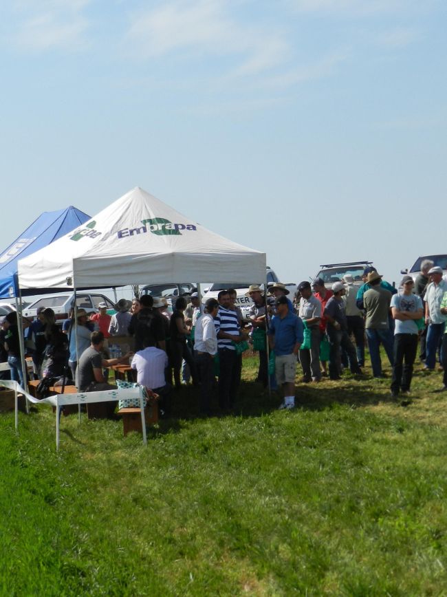 Dia de campo leva conhecimento a produtores.