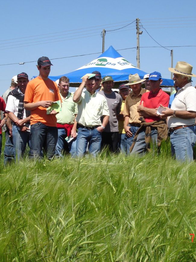 Dia de Campo sobre ILPF.