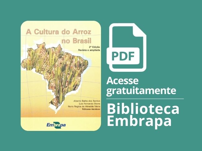 A cultura do arroz no Brasil