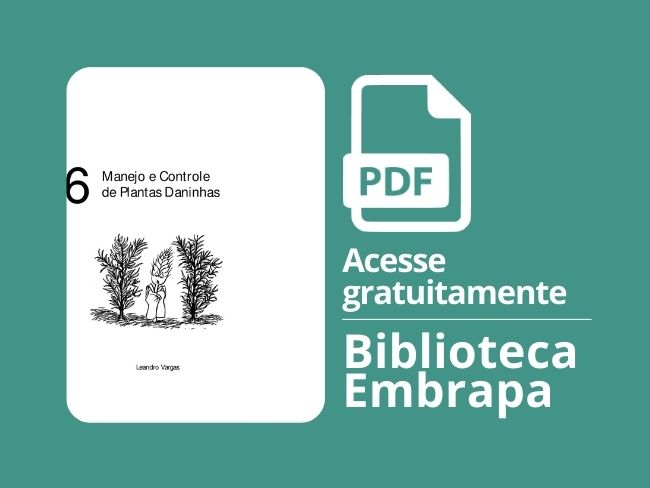 Manejo e controle de plantas daninhas (trigo)