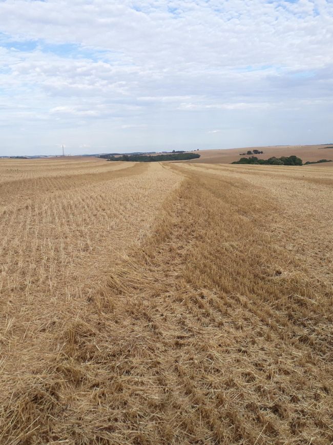 Imagem de campo