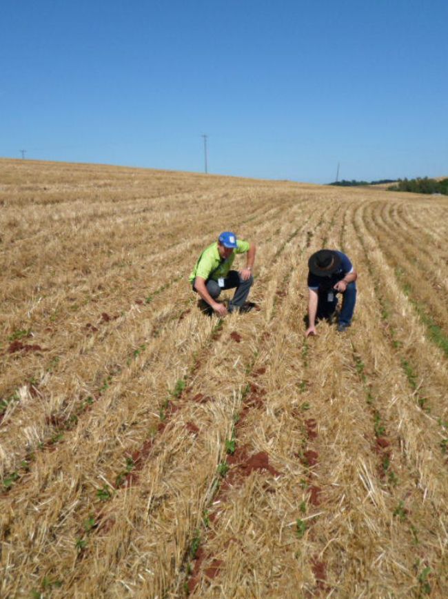 Campo com cobertura