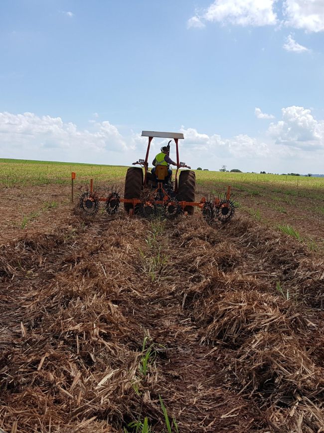 Trator no campo