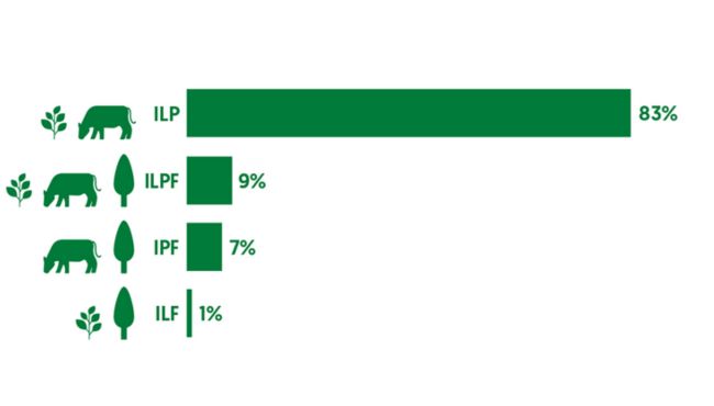 ILP é a modalidade mais usada no Brasil.