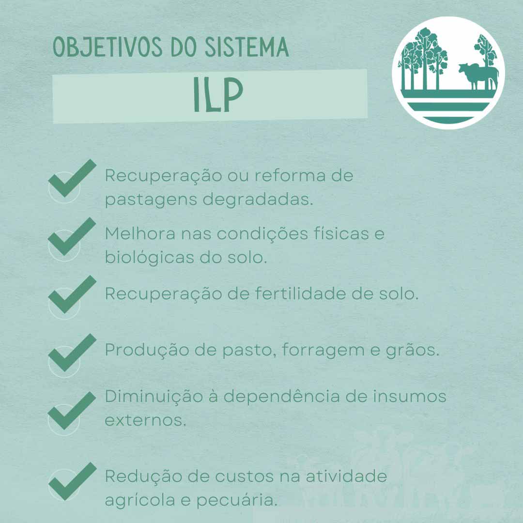 Objetivos do sistema ilp.