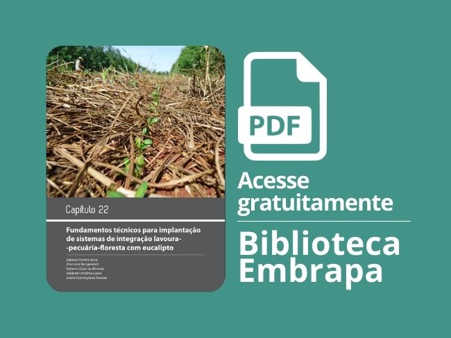 Fundamentos técnicos para a implantação de sistemas de integração lavoura-pecuária-floresta com eucalipto