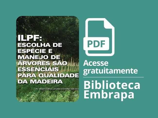 ILPF escolha de espécie e manejo de árvores