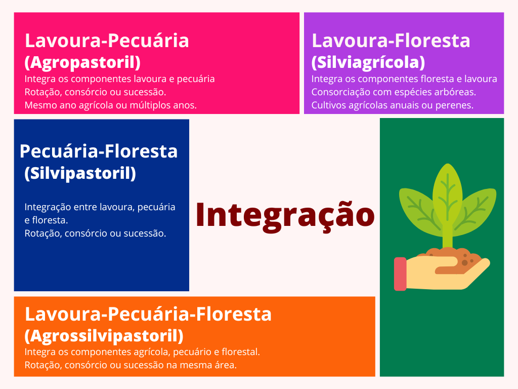 Conhecendo as modalidades da estratégia ILPF
