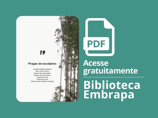 Pragas de Eucaliptos