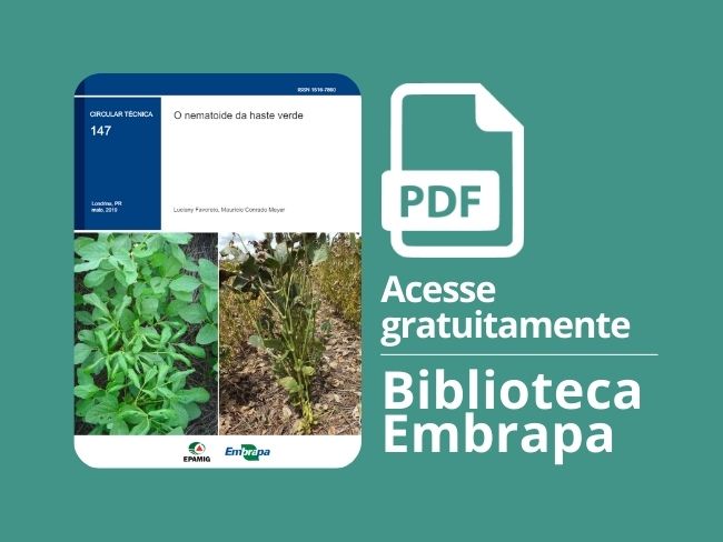 O nematoide da haste verde