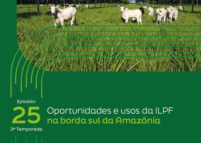 Podcast ILPF na Rede.