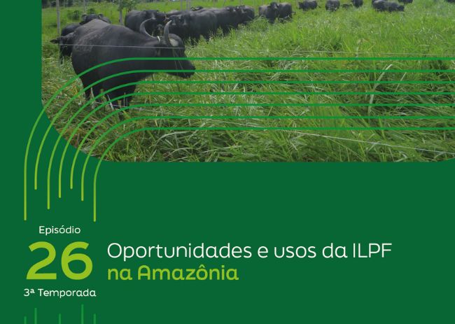 Oportunidades e usos da ILPF na Amazônia.