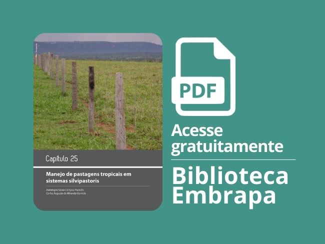 Manejo de pastagem em sistemas silvipastoris