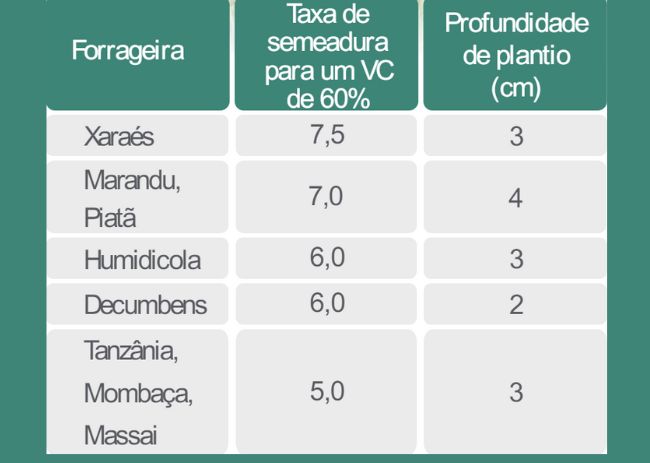 Tabela sobre forrageira, taxa de semeadura e profundidade.