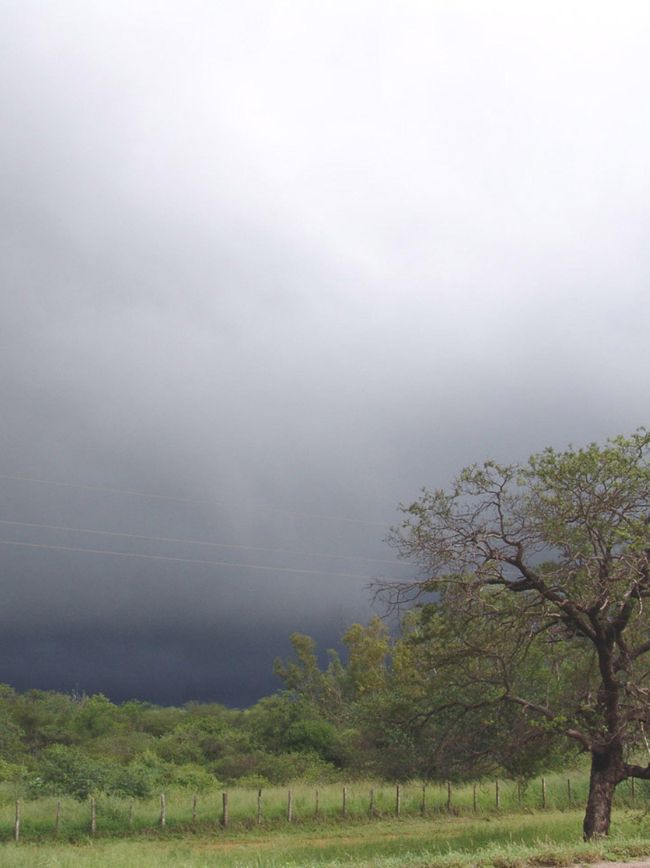 Caatinga no Brasil.