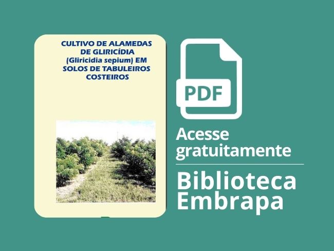 Cultivo de alamedas de gliricídia.