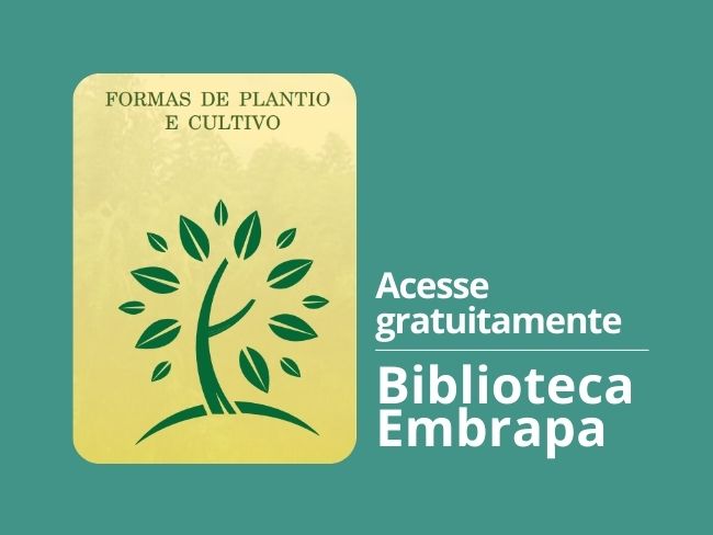 Gliricídia: formas de cultivo