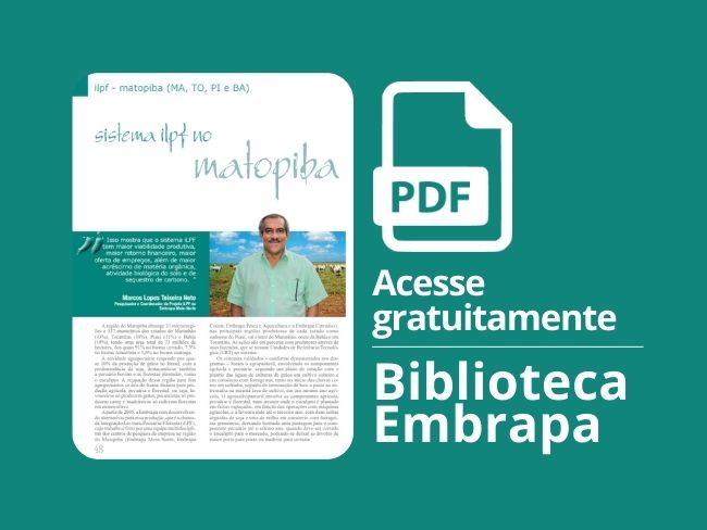 Sistema ILPF no Matopiba.