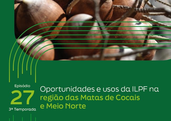 Capa de poscast para região Nordeste.