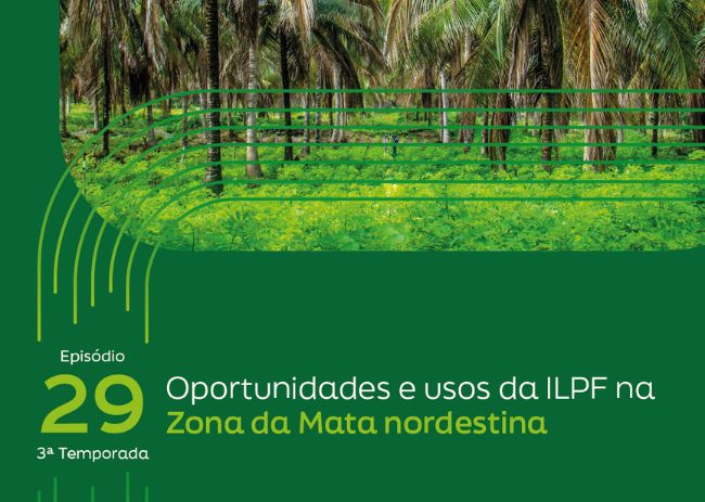 Oportunidades da ILPF na Zona da Mata.