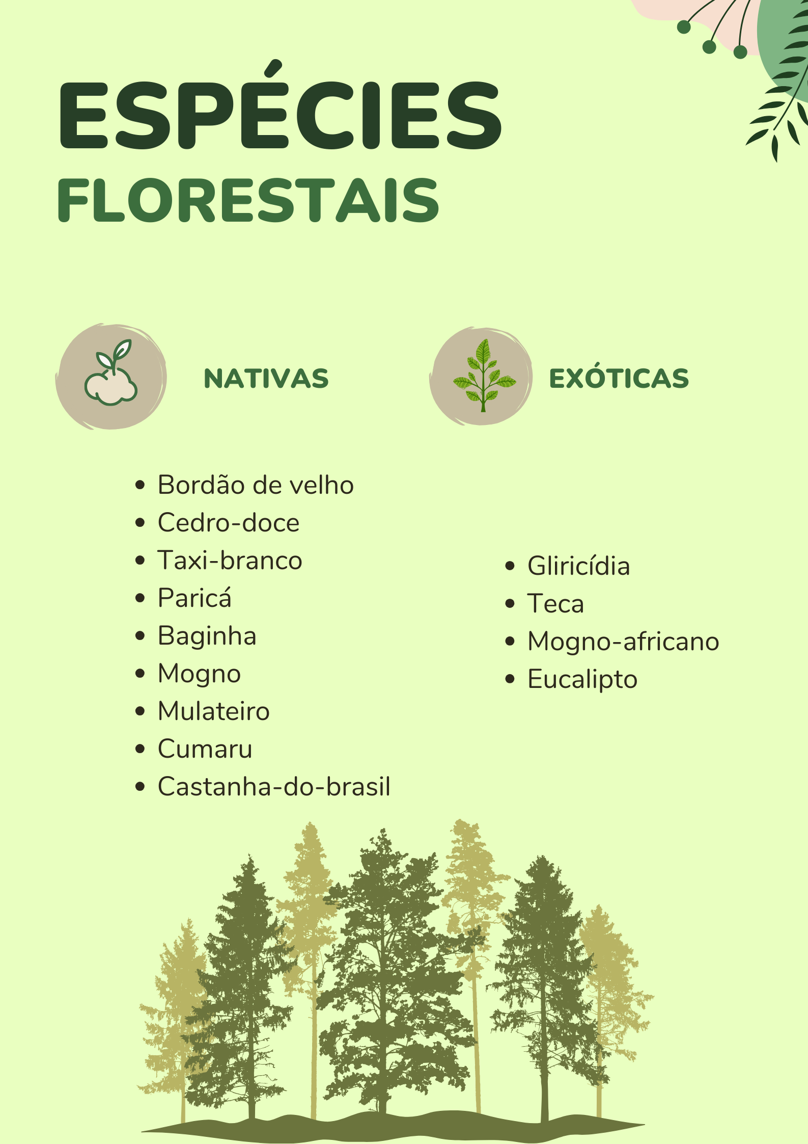 Espécies florestais