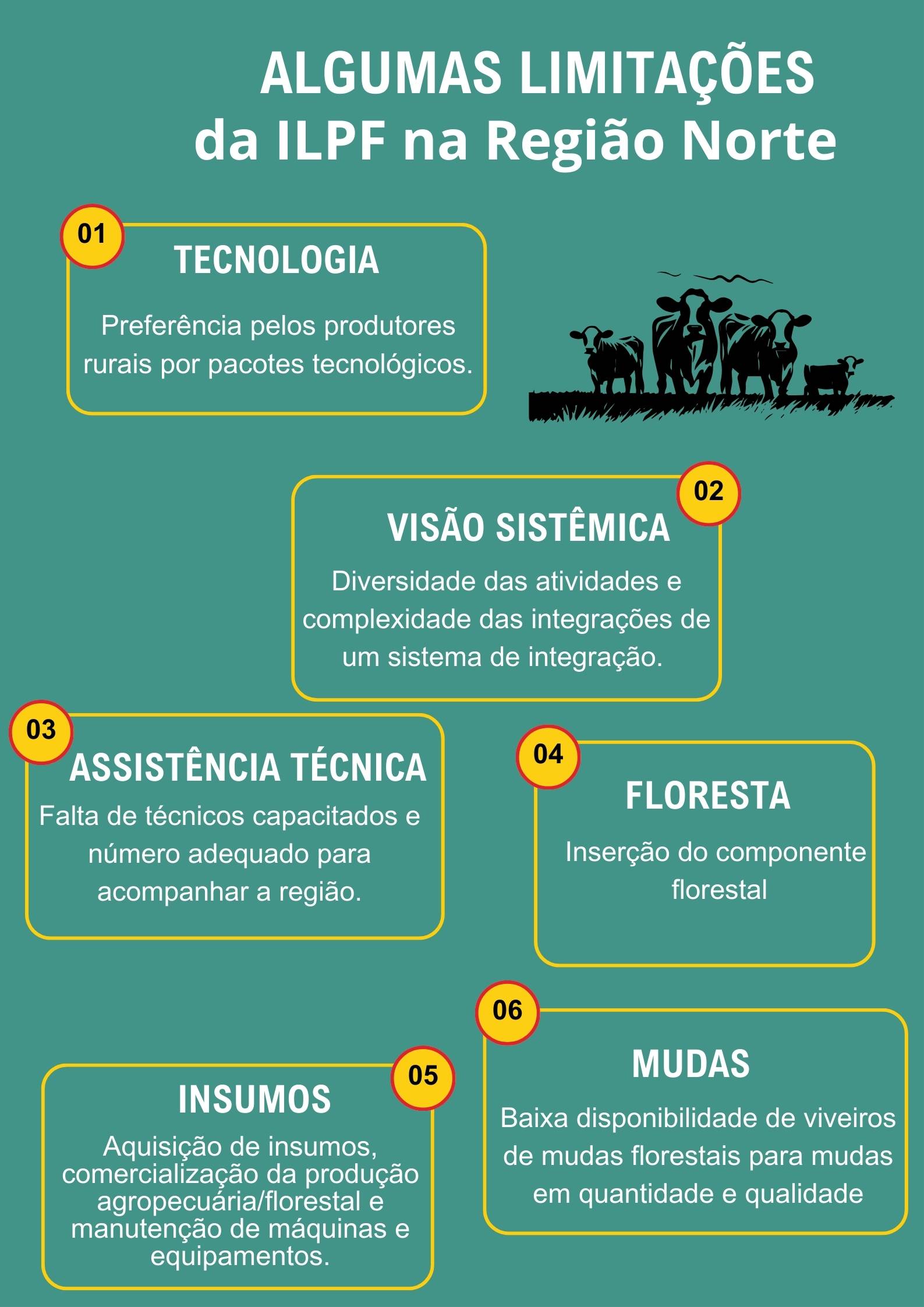 Você sabia?