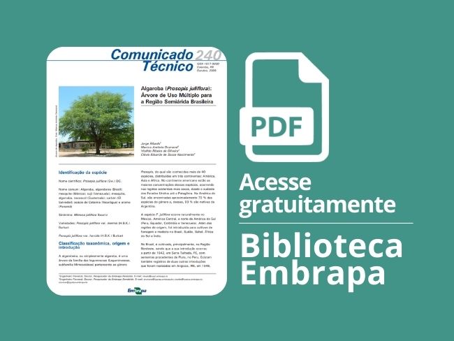 Algaroba: árvore de uso múltiplo para a região Semi-árida Brasileira
