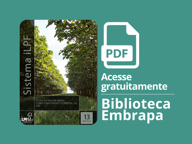 O uso do pau-de-balsa como componente florestal da iLPF