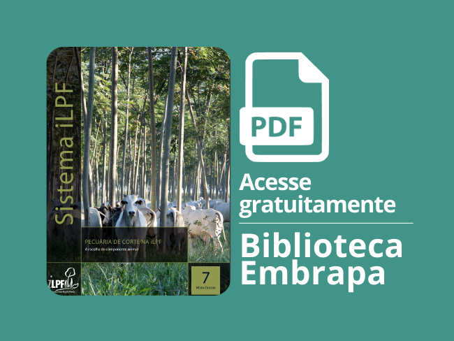 Pecuária de corte na iLPF: escolha das plantas forrageiras
