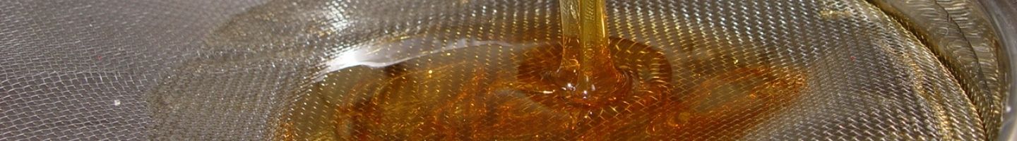 Banner da Pagina