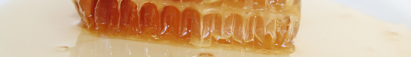Banner da Pagina