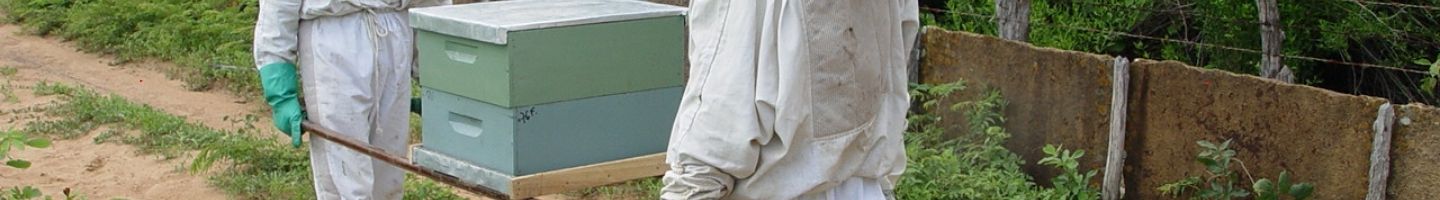 Banner da Pagina