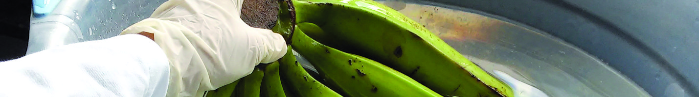 Banner da Pagina