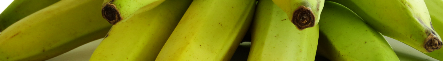Banner da Pagina