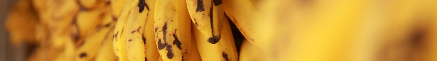 Banner da Pagina