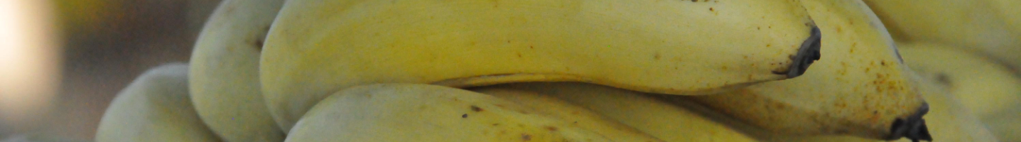 Banner da Pagina