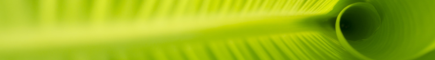 Banner da Pagina