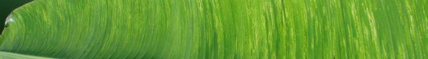 Banner da Pagina