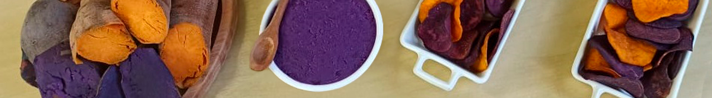 Banner da Pagina