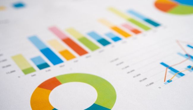 Gráficos e tabelas detalhando os custos de produção da atividade leiteira, evidenciando informações financeiras relevantes.