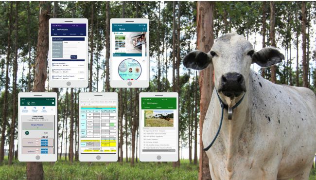 Vaca ao lado de um grupo de telas de sites, aplicativos e planilhas, representando ferramentas de gestão da atividade leiteira.