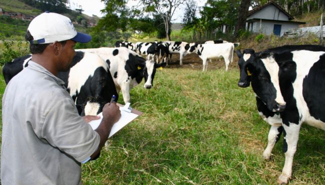 Homem em pé diante de um rebanho de vacas, anotando informações relevantes para acompanhar indicadores de desempenho na atividade leiteira.
