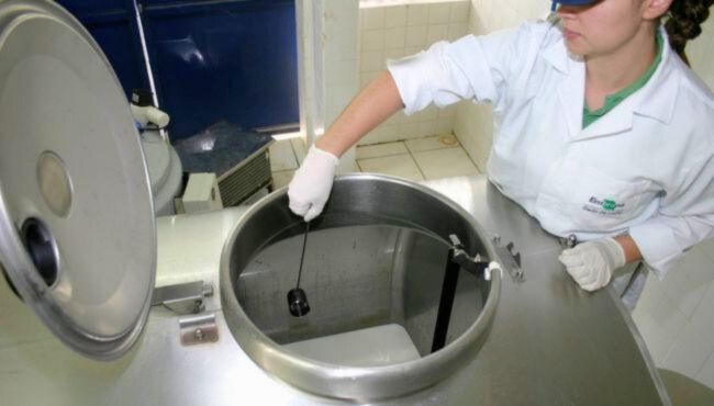 Mulher realiza coleta de amostra do leite para envio ao laboratório e posterior cálculo de indicadores de qualidade.