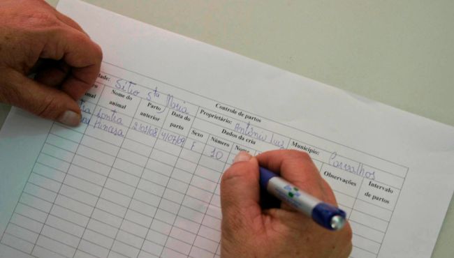 Anotações para acompanhamento dos índices reprodutivos.