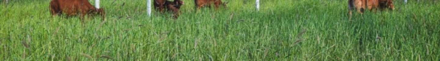 Banner da Pagina