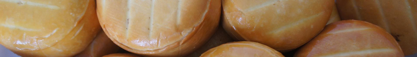 Banner da Pagina