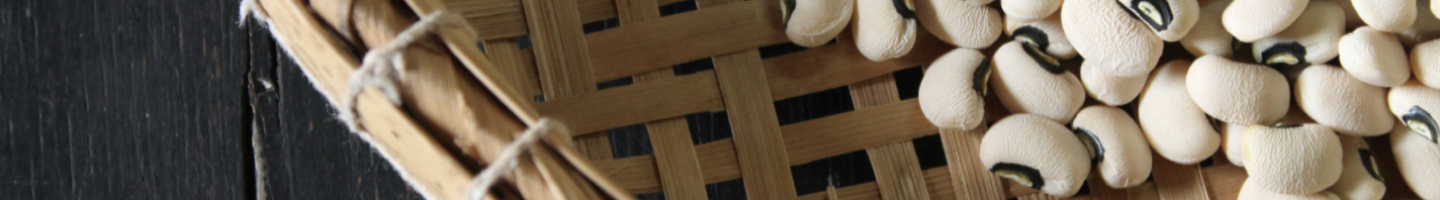 Banner da Pagina