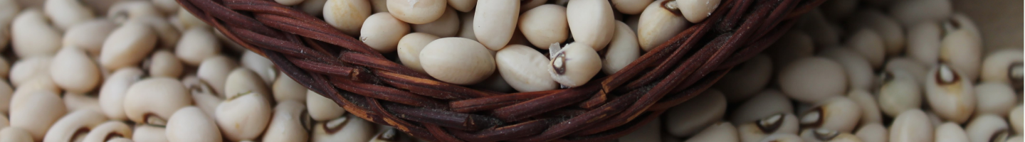 Banner da Pagina