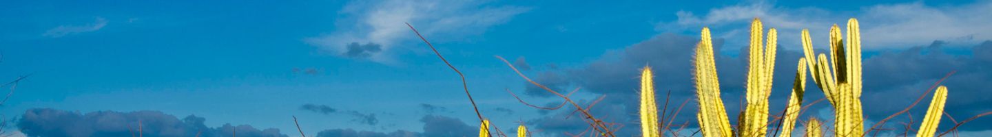 Banner da Pagina