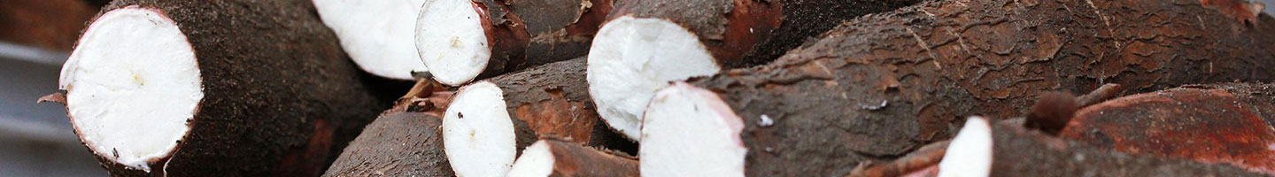 Banner da Pagina